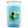 Garden Rain Single-Wick Large Glass Jar Candle, 20 oz