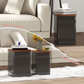 Ottoman With Storage Set Of 2, Industrial Nesting Ottoman Stool With Removable Lid, Metal Frame For Living Room, Black (Color: Black)